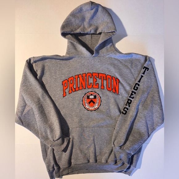 Vtg Princeton Tigers Russell Athletic Y2K Pullover Gray Hoodie Men’s Large - Picture 1 of 10